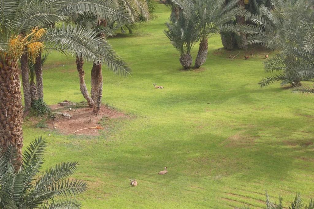 Riad Nolya Luxury Marrakech - Totalement Renove - Capacite Jusqu A 10 Lits Spacieux Marrakesh Exteriör bild