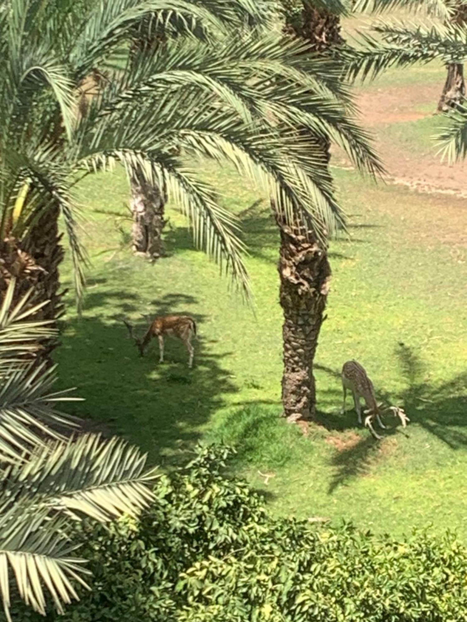 Riad Nolya Luxury Marrakech - Totalement Renove - Capacite Jusqu A 10 Lits Spacieux Marrakesh Exteriör bild